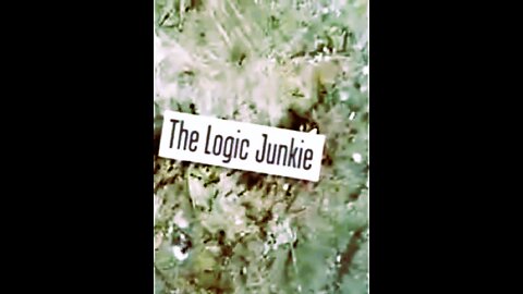 THE LOGIC JUNKIE - Part 3/12