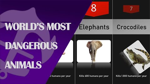 Top 10 World’s most dangerous animals #dangerousanimal #anchorstats