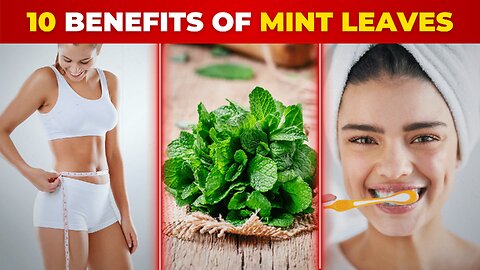 10 Super Benefits of MINT LEAVES | Fit & well over 50