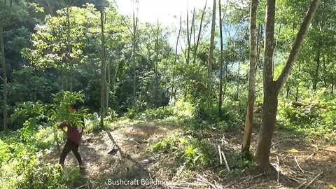 Build complete and warm survival shelter - bushwalk overnight in the wilderness)5