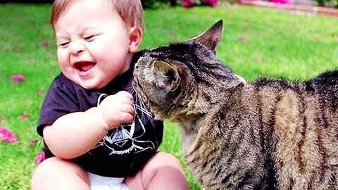 Cutest Baby Plays With Dogs and Cats