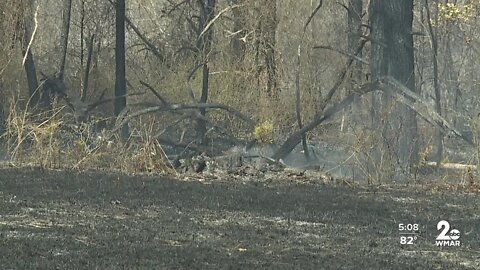 Owings Mills wildfire the largest battled in Maryland in 50 years