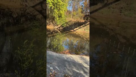 Good morning and happy Monday! Fishing at the creek. #fishing #outdoors #nature