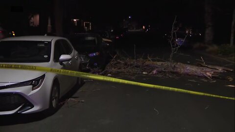 Reports of downed power lines after strong winds in the metro