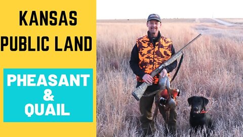 Kansas Public Land Pheasant and Quail