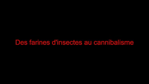 Des farines d'insectes au cannibalisme