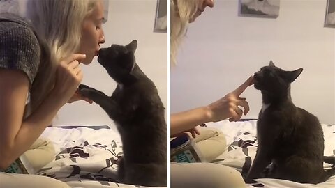 Talented cat shows off her impressive tricks