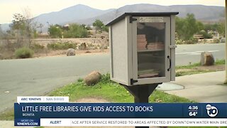 Little Free Libraries give kids access to books