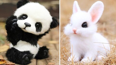 Cute Baby Pandas Playing Compilation - TRY NOT TO LAUGH!