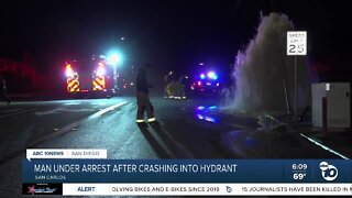 Man arrested after crashing car into fire hydrant