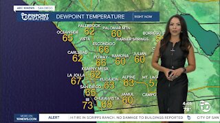 ABC 10News PinPoint Weather With Meteorologist Angelica Campos