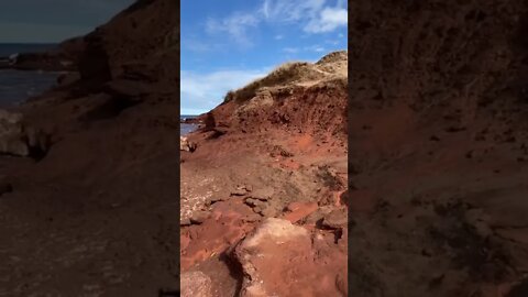 Spring is mud season! At the beach