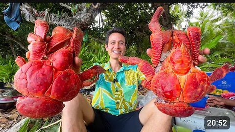 Huge Coconut Crab!! 🦀 (UNLIKE Any Other Crab on Earth!!) South Pacific Islands