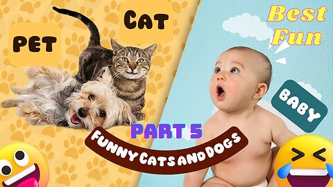 Funniest Animals 😂 Funny Cats and Dogs 2023 😺🐶 Part 5