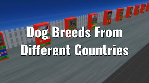 DOG BREEDS FROM DIFFERENT COUNTRIES