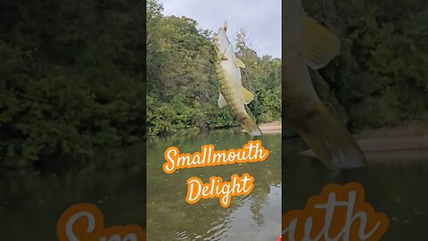 That Smallmouth Bite tho... #shorts #smallmouth #bassfishing #kayakfishing #river