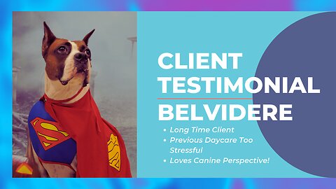 Daycare Testimonial: Belvidere | Previous Daycare Too Stressful For Owner & Belvi, Stress Free At CP