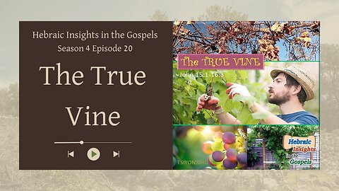 HIG S4 Ep20 - John 15v1-16v3 - The True Vine