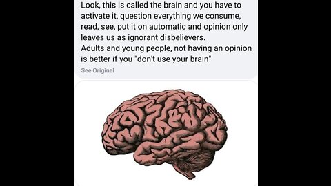 Use Your Brain