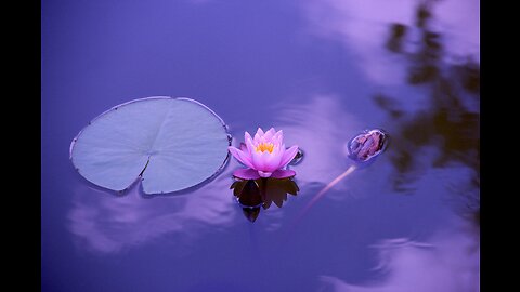 Growing Spiritually Every Moment, Second and Day | Sadhguru