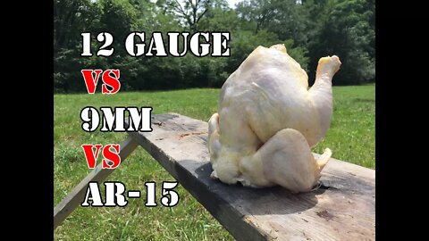 9mm vs AR-15 vs 12 Gauge... Whole Chicken Test