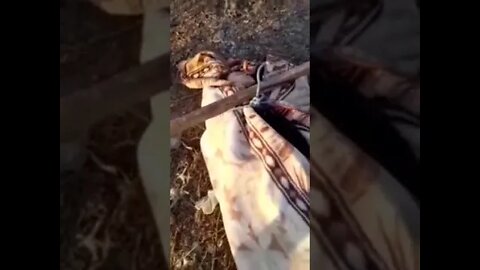 Russian & DPR Forces Kill Well-Known Ukrainian Sniper