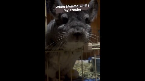 When Momma Limits Treatos