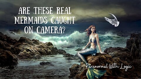 Are These Real Mermaids Caught on Camera?