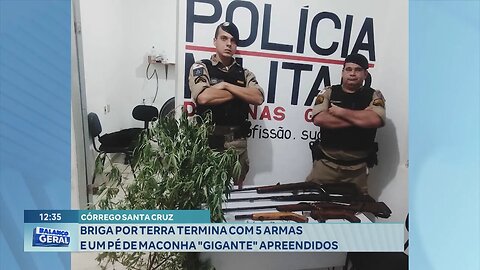 Córrego Santa Cruz: Briga por Terra termina com 5 Armas e um Pé de Maconha "Gigante" Apreendidos.