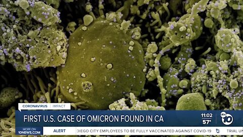 Expert weighs in on omicron virus and prevent possible outbreaks