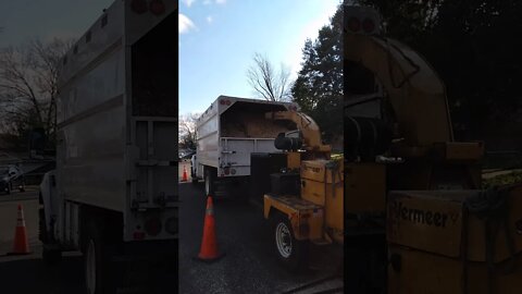 December 7, 2020 Very Large tree cutting Vienna, Virginia today Tree cutting Vienna VA - Emergency