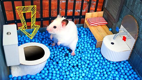 🐹 Hamster Escapes the Creative Maze for Pets in real life 🐹 in Hamster Stories