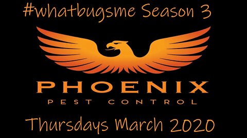 #whatbugsme Season 3: Thursdays starting in March |