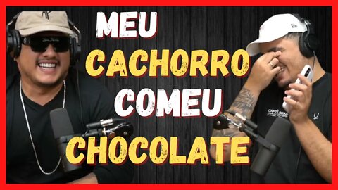 PODPAH 4 MILHÕES – CHOCOLATE FAZ MAL PRA CACHORRO?