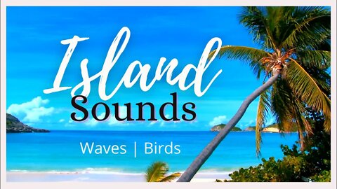 ISLAND SOUNDS - Try this! Just Surf and Sand! #beachsounds #nature #naturesounds #beachvibes #zen