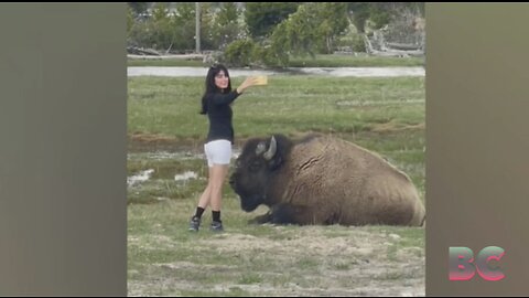 Woman found dead in Montana after grizzly bear mauling near Yellowstone identified