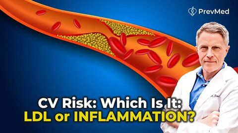 CV Risk: Which Is It: LDL or INFLAMMATION?