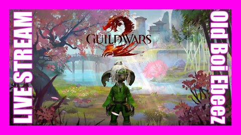 Guild Wars 2 A Private Experience #1