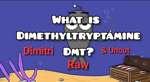 What is DMT?