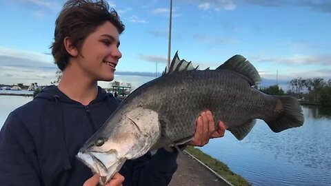 Barramundi Fishing - Catching HUGE Fish!