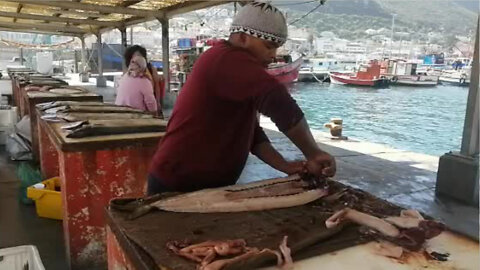 Stock: Kalk Bay harbour fish market