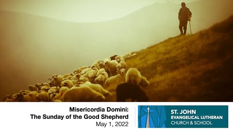 Misericordia Domini: The Sunday of the Good Shepherd - May 1, 2022