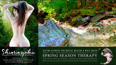 Shinrin-Yoku Bio Music Therapy | Nature Asmr 041 ▶️