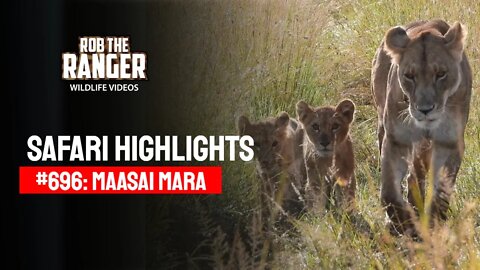 Safari Highlights #696: 17 & 18 June 2022 | Lalashe Maasai Mara | Latest Wildlife Sightings