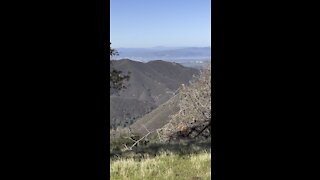 Carquinez Straits from Deer Flat