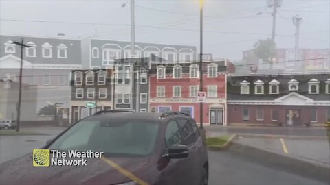 Rain continues into the daylight in a soggy St. John's