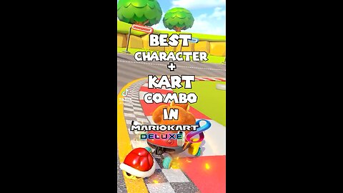 BEST MARIO KART COMBO, EXPERTS APPROVE!!