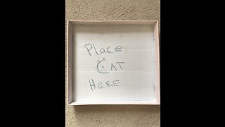 Cat Knows Exactly What To Do With Cardboard Box