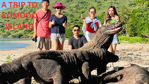 KOMODO ISLAND IN INDONESIA