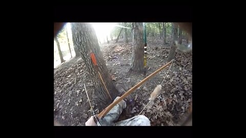 Wild Boar LongBow One Shot